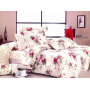 Komplet Pościeli Collection World 100% Bawełna 3 Częściowy 160x200 cm Kod: M667