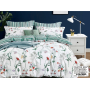 Komplet Pościeli Collection World 100% Bawełna 3 Częściowy 160x200 cm Kod: M1459