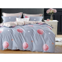 Komplet Pościeli Collection World 100% Bawełna 3 Częściowy 160x200 cm Kod: M1676
