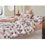 Komplet Pościeli Collection World 100% Bawełna 3 Częściowy 200x220 cm Kod: M1854